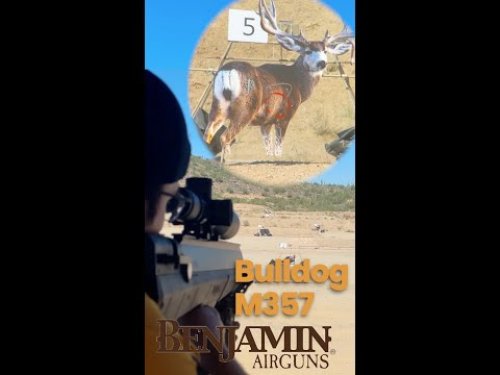 Video post from airgunsofarizona.
