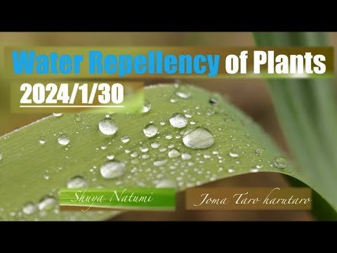 Video post from Youth Water Forum.