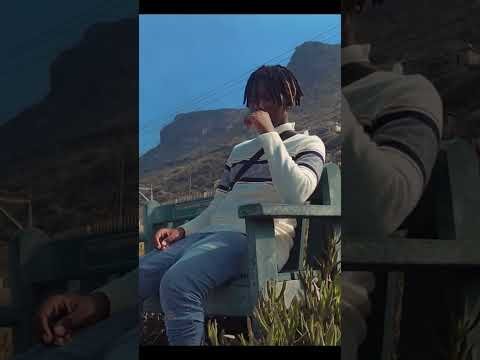 Video post from Tinta Tribe.