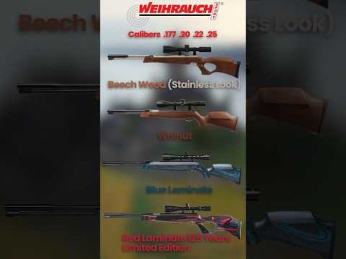 Video post from airgunsofarizona.