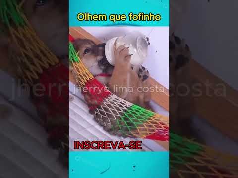 Video post from jherrye lima costa.