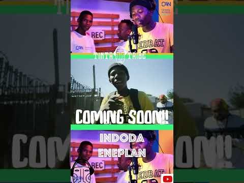Video post from Tinta Tribe.