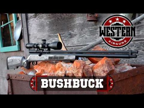 Video post from airgunsofarizona.