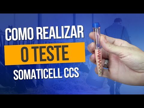 Video post from Somaticell Diagnósticos.