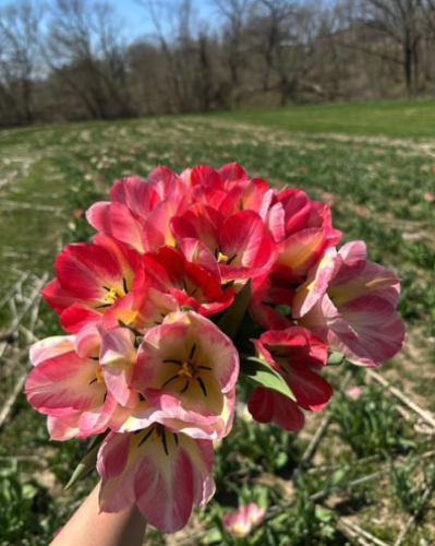 Photo post from wilsonsorchardandfarm.