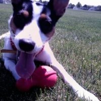 User profile -  Katie T..