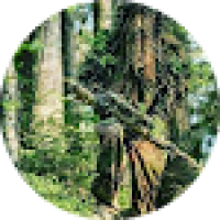 User profile - Justin Lia.