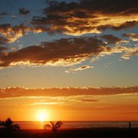 User profile - Mark Vargas.