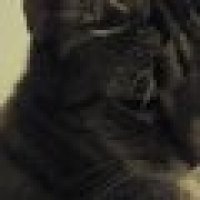 User profile - Lisa B.