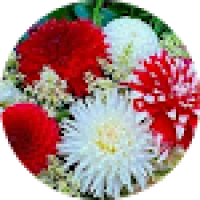 User profile - Riyola.