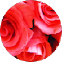 User profile - Maureen Jackson.