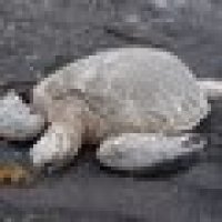 User profile - M P..