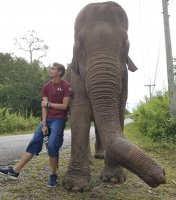 User profile - Pierre-Yves Becker.
