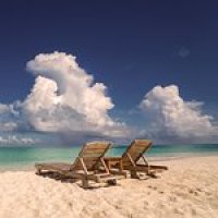 User profile - Francisco Majó.