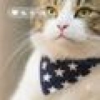 User profile - Dorien S.