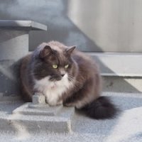 User profile - Dan T..