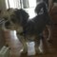 User profile - Popeye T..