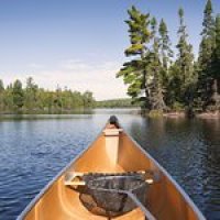 User profile - stickman2018.