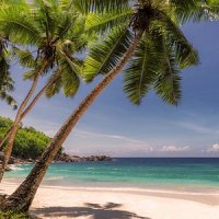 User profile - Aurelia B..