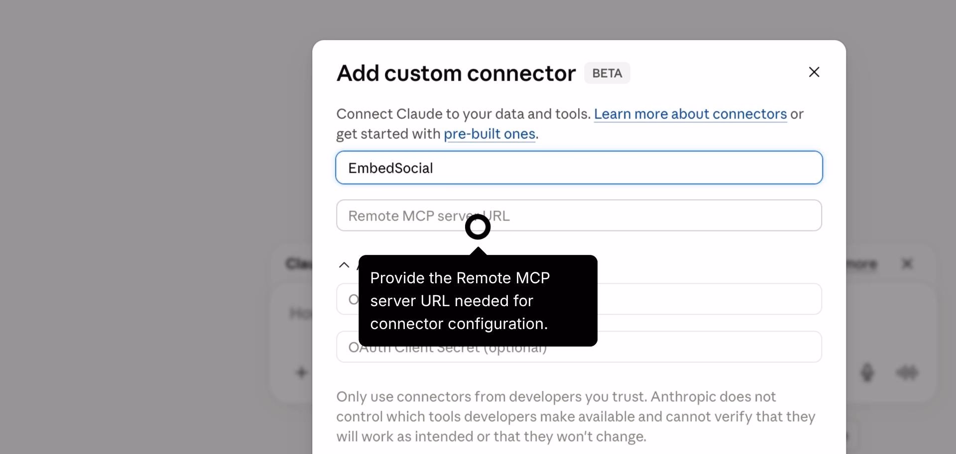 Entering connector name and server URL.
