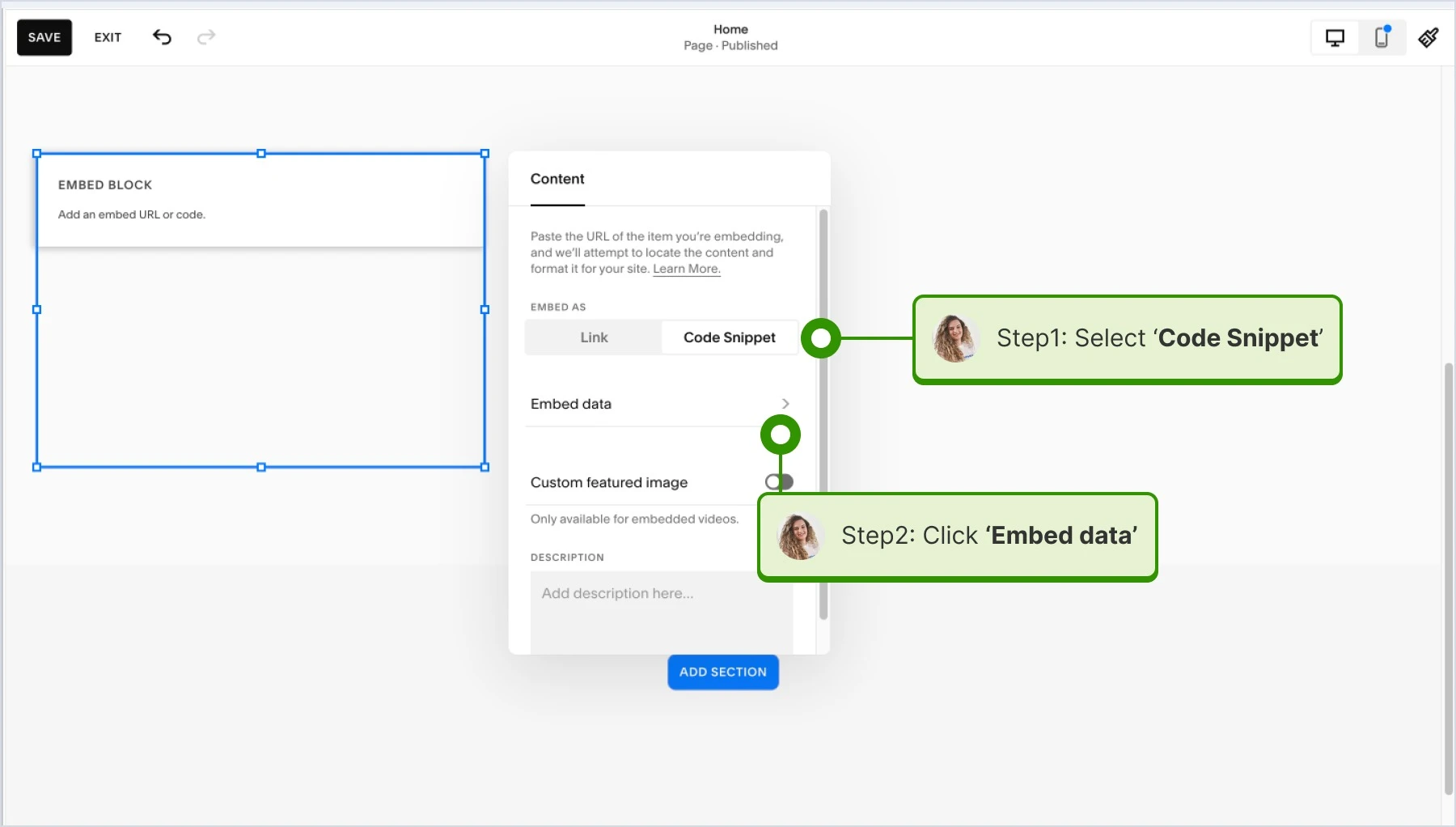clicking on code snippet, paste it and click embed data