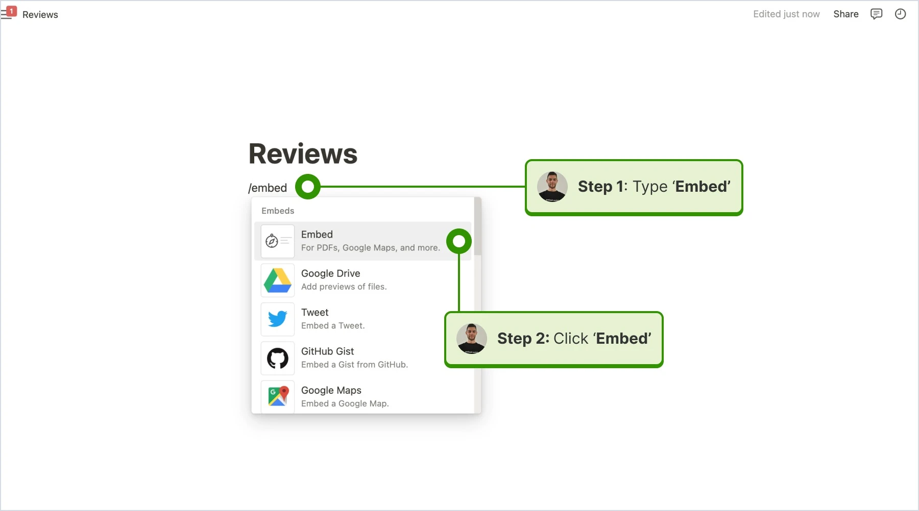 embed a section