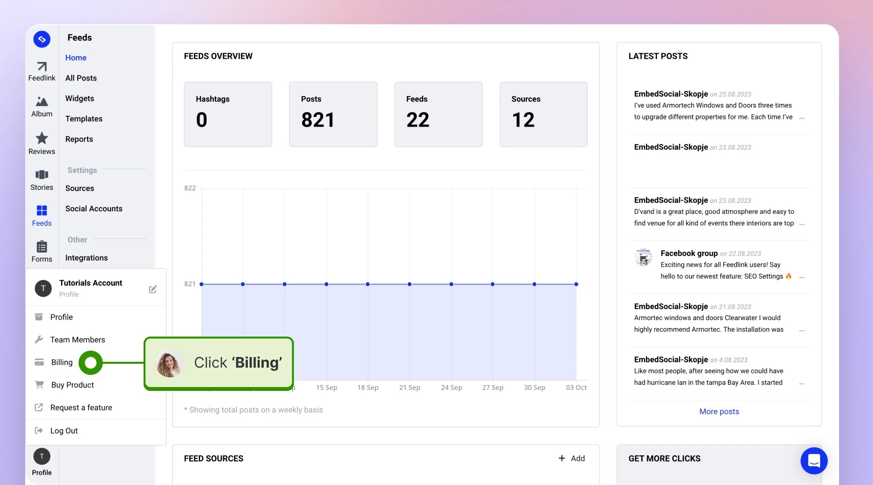 Navigating to the Billing Section isnide my EmbedSocial account