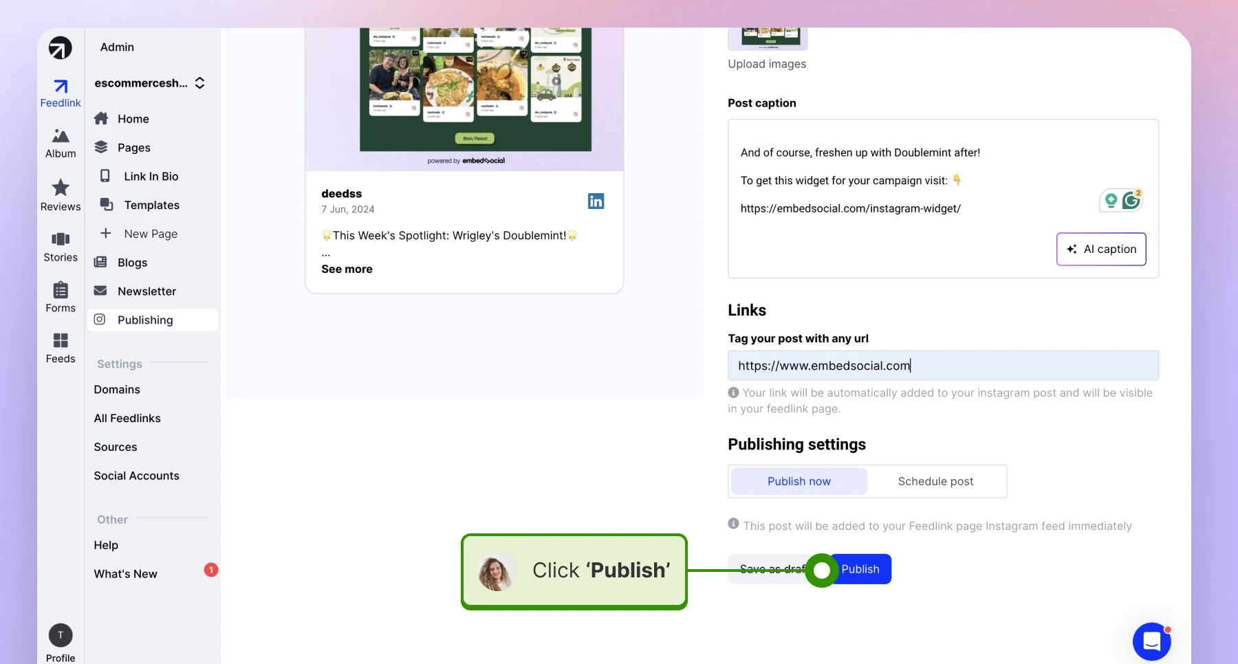 Publishing the post on LinkedIn