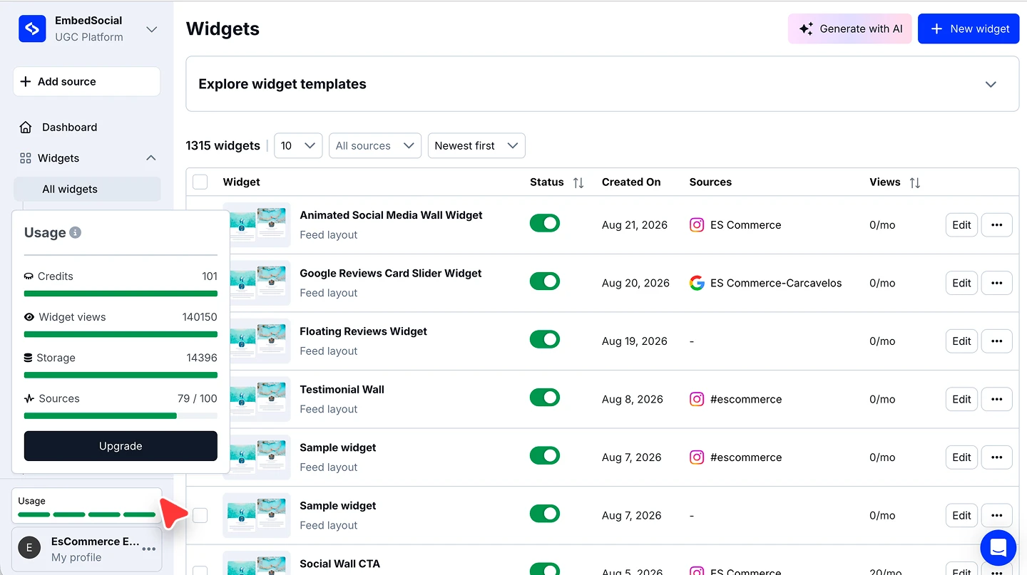 The usage panel showing AI credits, widget views, storage, and sources