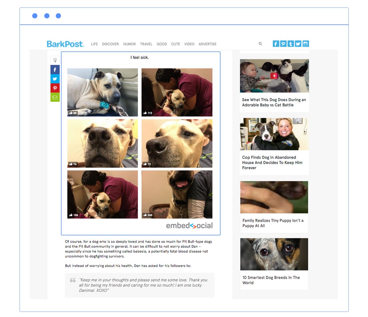 barkpost facebook album plugin