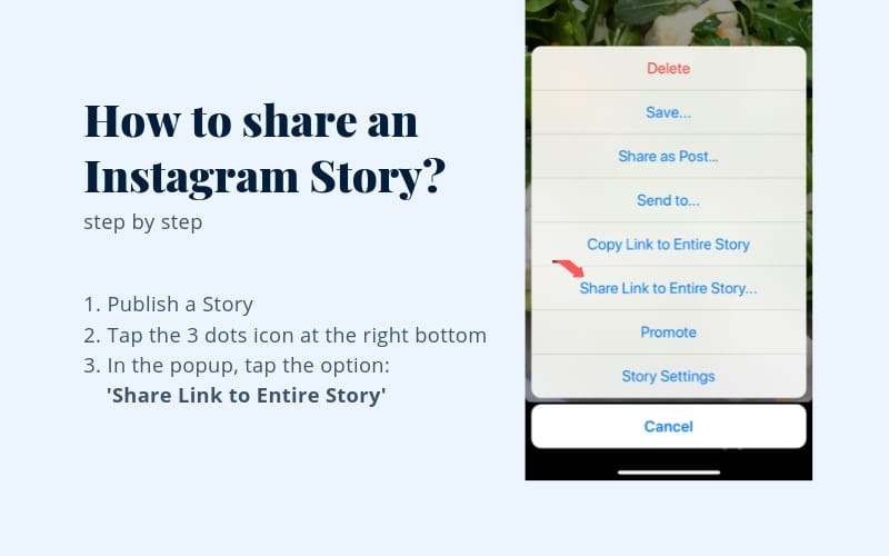 share link instagram story - how to add paragrapsh !   to instagram