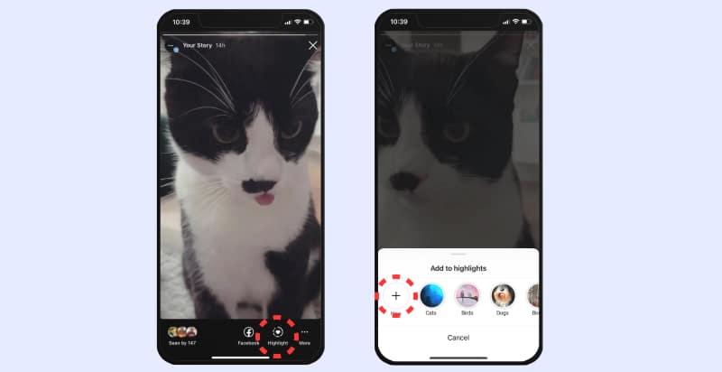 create Instagram highlights from active story