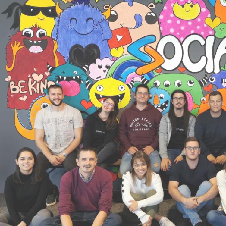 embedsocial team