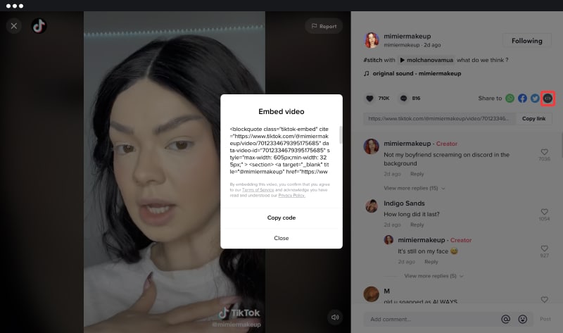 TikTok Embed – Documentation –