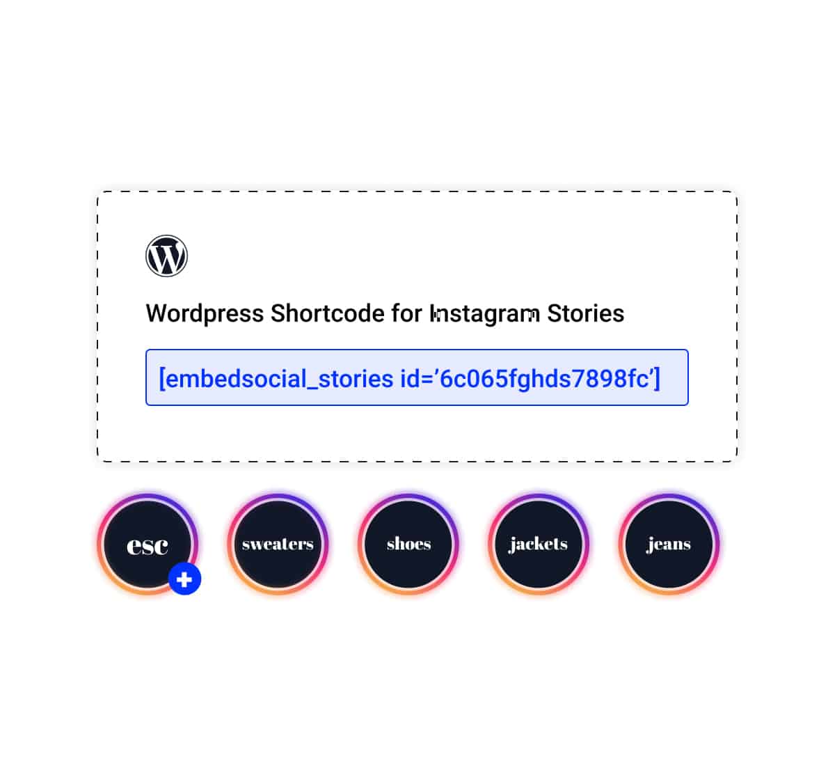 How to embed Instagram story highlights on your website for FREE?