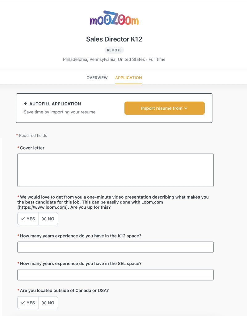 sales director job application from example