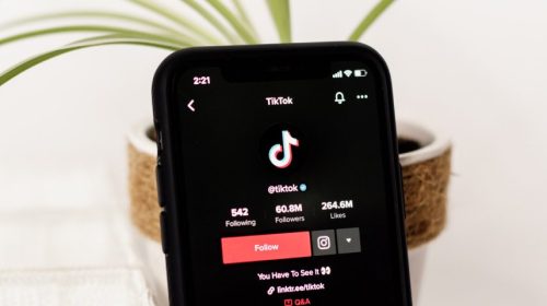 TikTok Statistics to Support Your Marketing and Sales Strategies in 2022