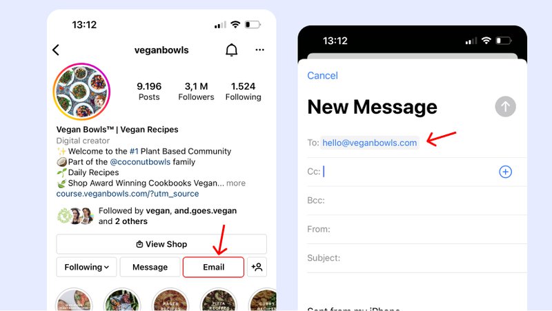 email button in Instagram profile
