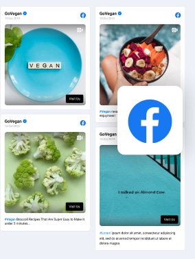 embed facebook feed