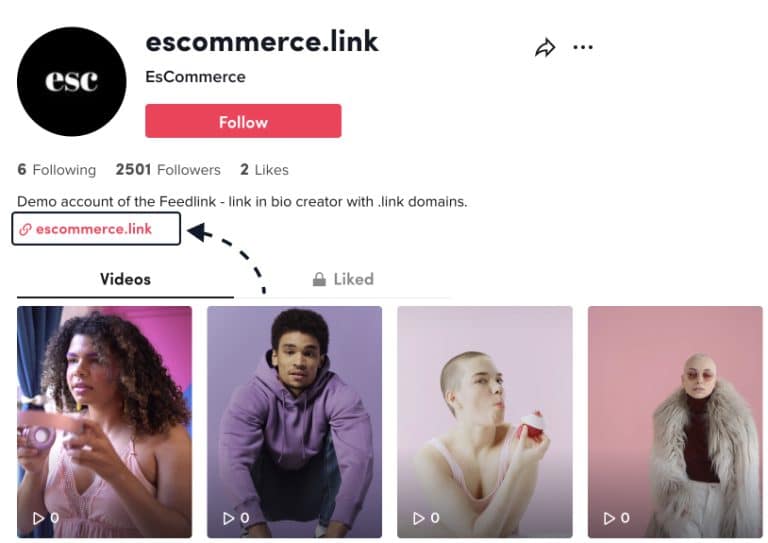 How To Add Link in TikTok Bio And Drive More Traffic EmbedSocial