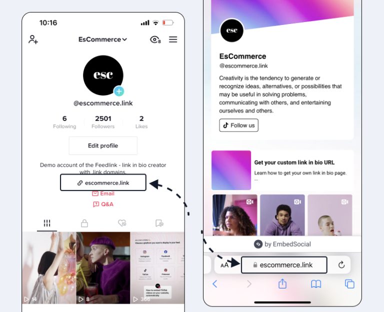How To Add Link in TikTok Bio And Drive More Traffic - EmbedSocial