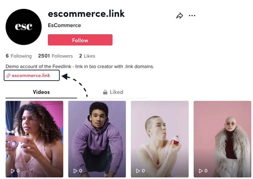 tiktok link in bio example