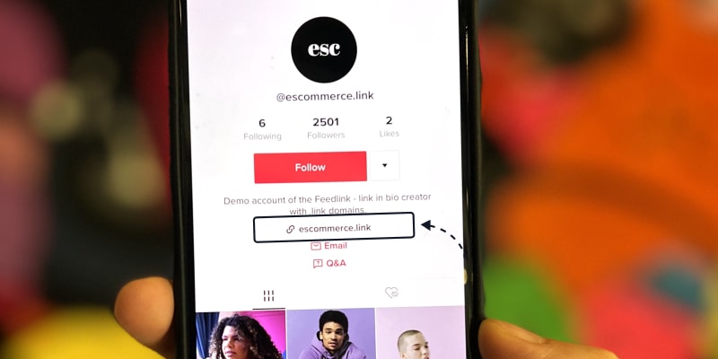 How to Add a Link To Your TikTok Bio