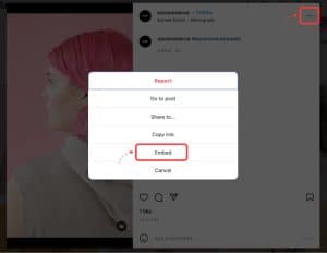 How To Embed Instagram Reels On Your Website in 2025 - EmbedSocial