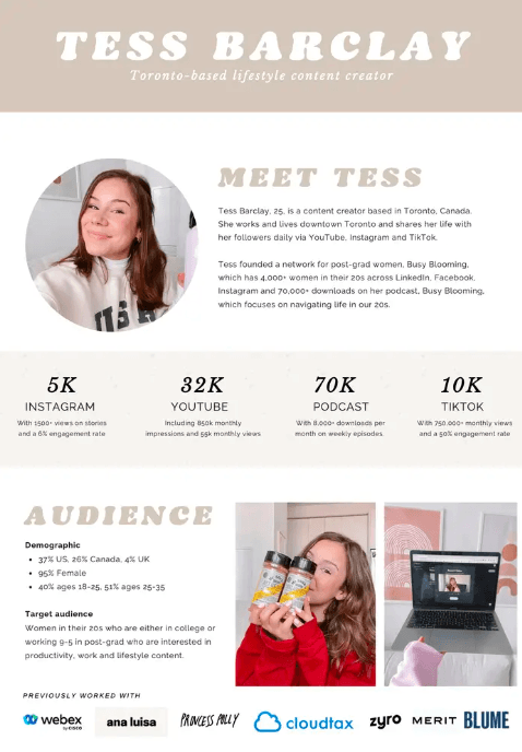 awesome influencer media kit example