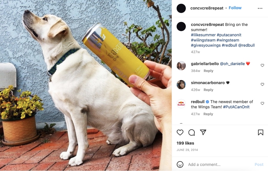 Red Bull Instagram hashtag campaign 'Put a can on it