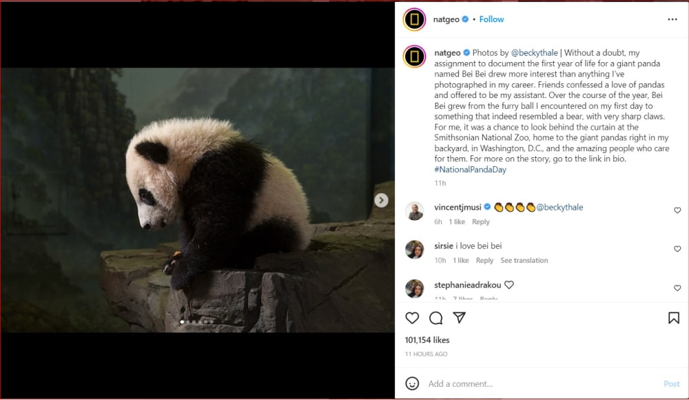 Instagram carousels posts example with multiple photos