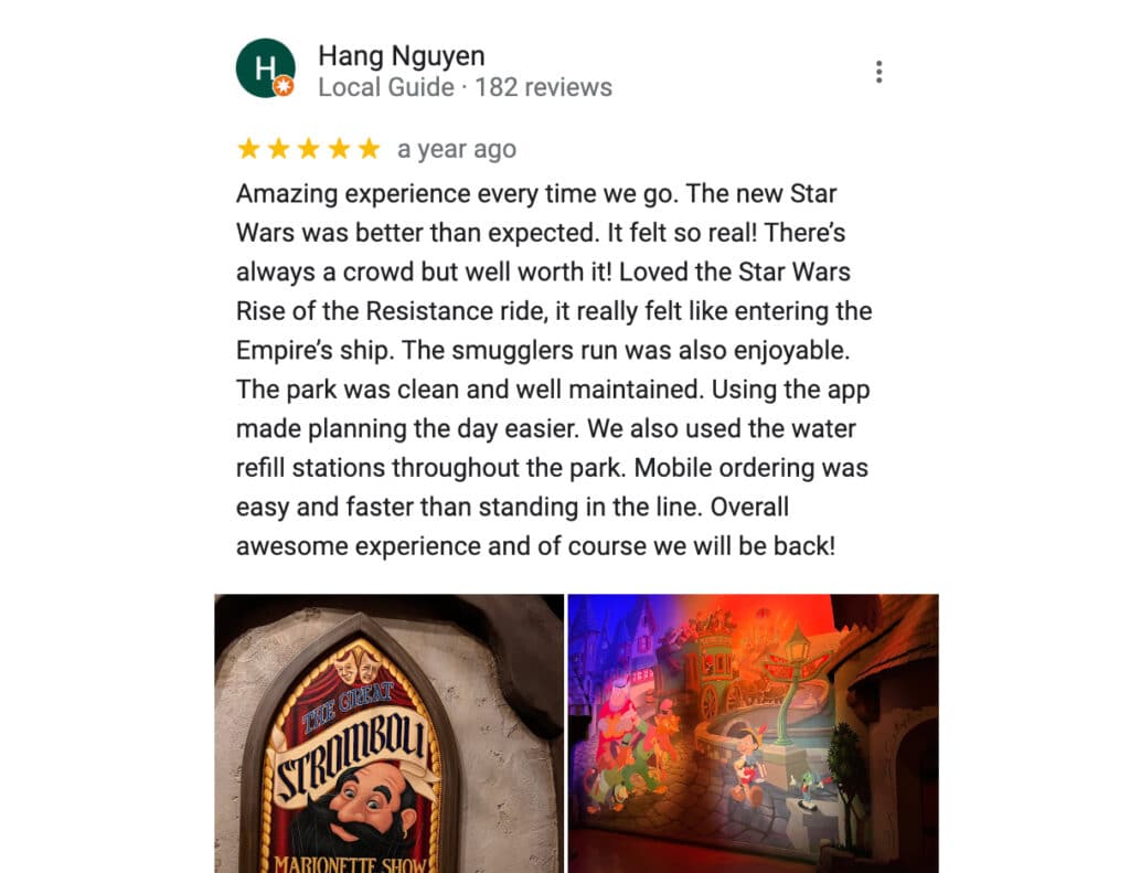 5 star google reviews example - Disneyland