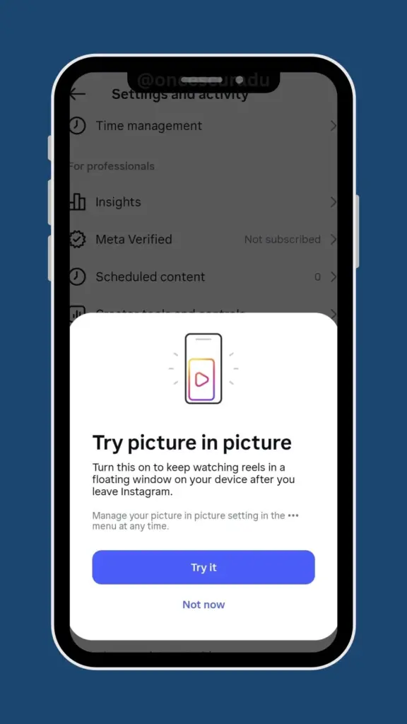 instagram reels picture in picture