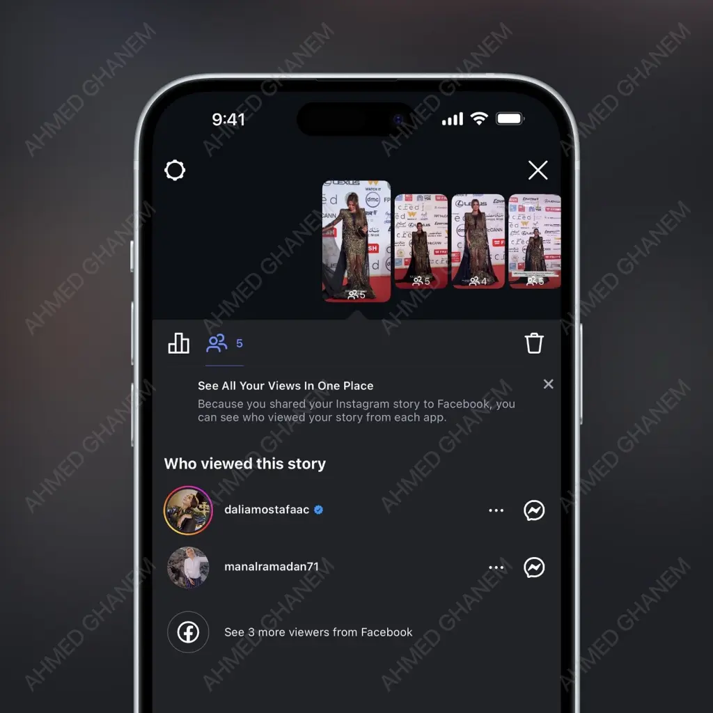 meta crossposted views